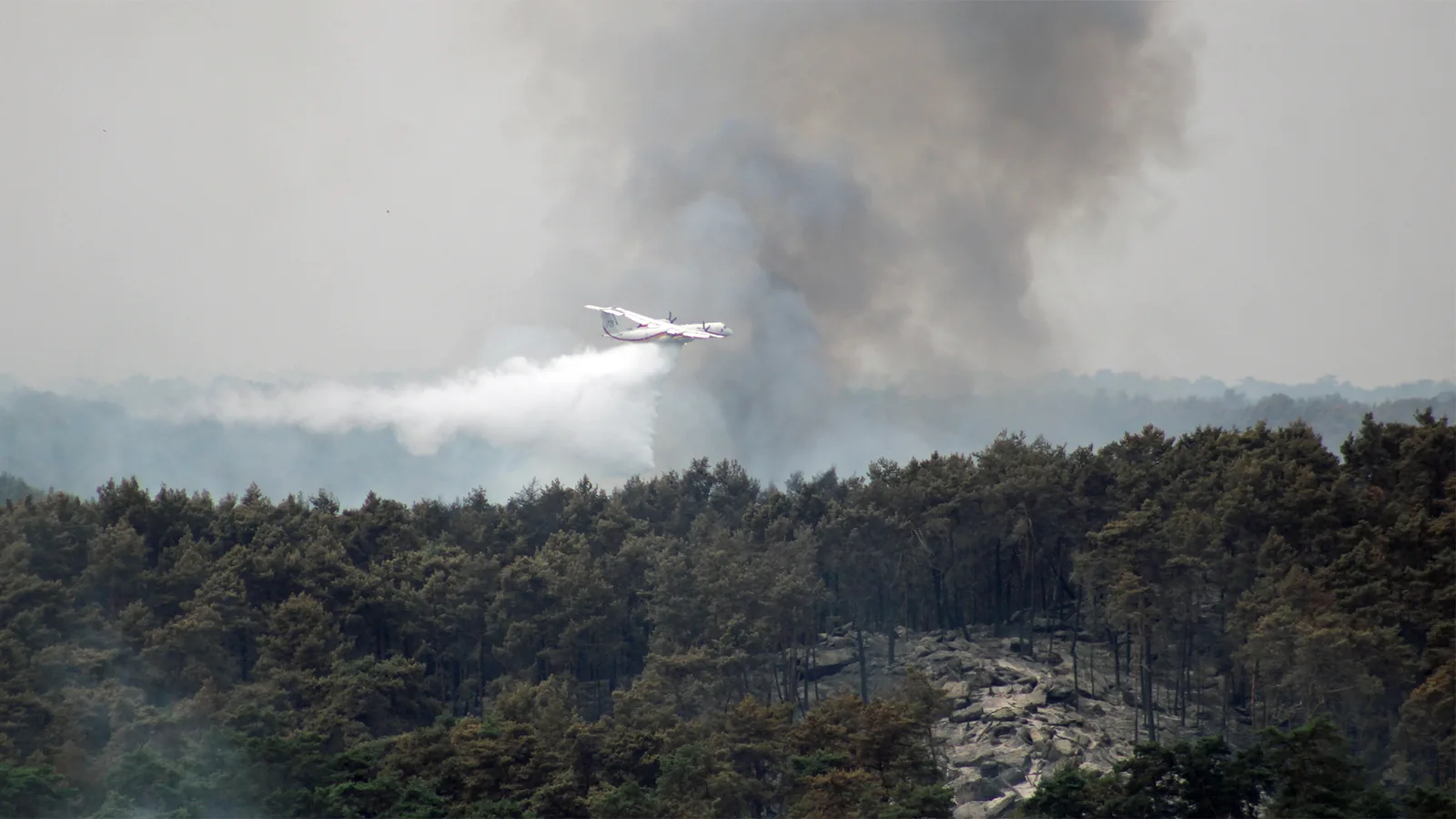 Un bombardier d'eau larguant au-dessus de la forêt de Fontainebleau, fumée noire à l'arrière-plan